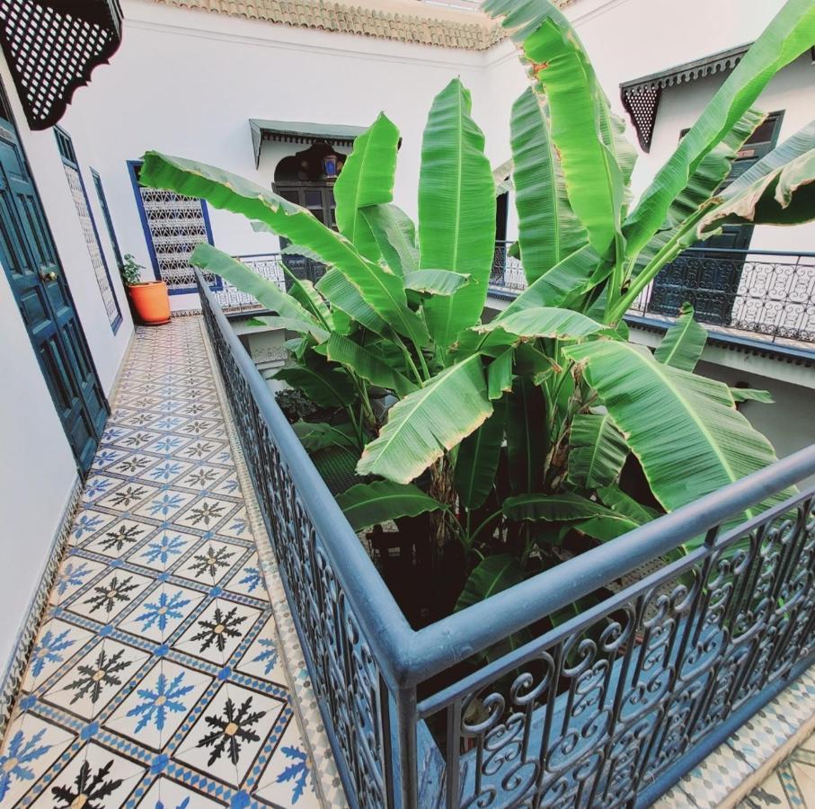 Riad Aloes & Spa (Adults Only) Марракеш Экстерьер фото