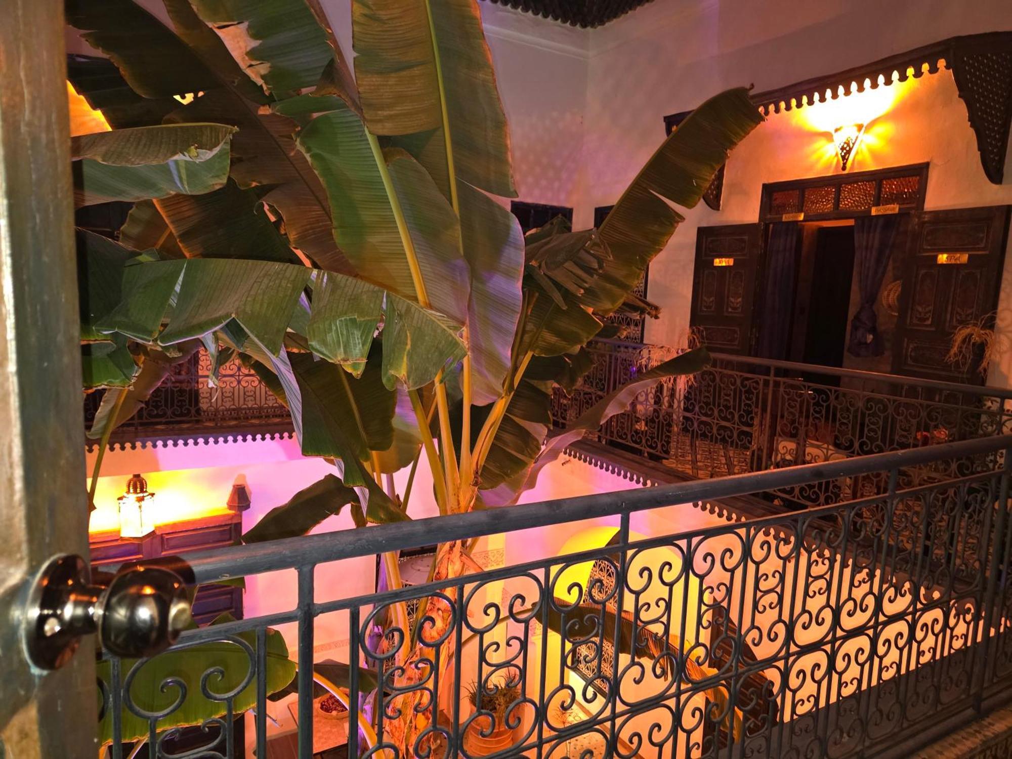 Riad Aloes & Spa (Adults Only) Марракеш Экстерьер фото